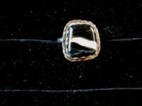 White Buffalo Ring 2