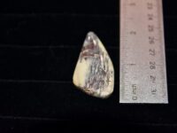 Gem Chalcedony F1
