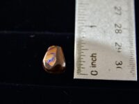 Boulder Opal F19