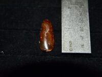Fire Agate F14