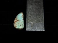 Turquoise F1