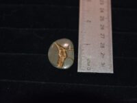 Septarian F1