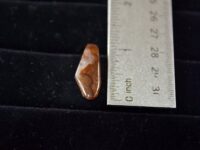 Fire Agate F10