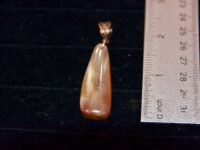 Petrified Wood Pendant 5