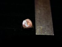 Mexican Opal Ring 14