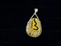 Bumblebee Jasper 3