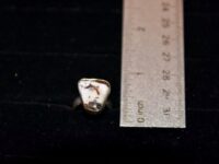 White Buffalo Turquoise 4