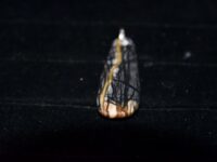 Picasso Stone Pendant 77