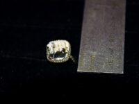 White Buffalo Turquoise 6