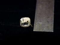 White Buffalo Turquoise 6