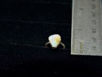 Ethiopian Opal Ring 107