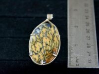 Australian Dendritic Opal Pendant 1