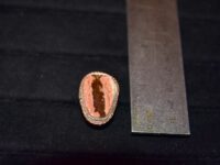 Mexican Fire Opal Ring 25
