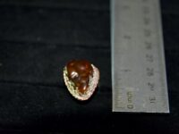 Fire Agate Ring 47